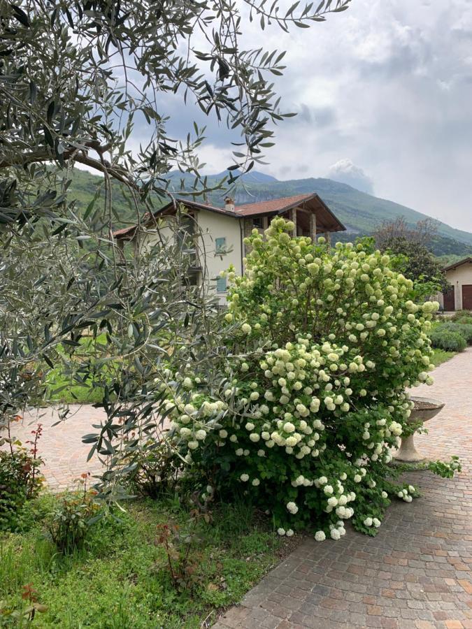 Agritur Stefenelli Guest House Torbole Sul Garda Екстериор снимка