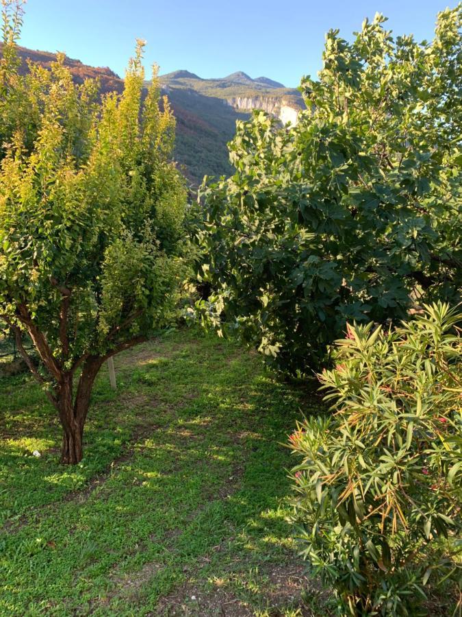 Agritur Stefenelli Guest House Torbole Sul Garda Екстериор снимка
